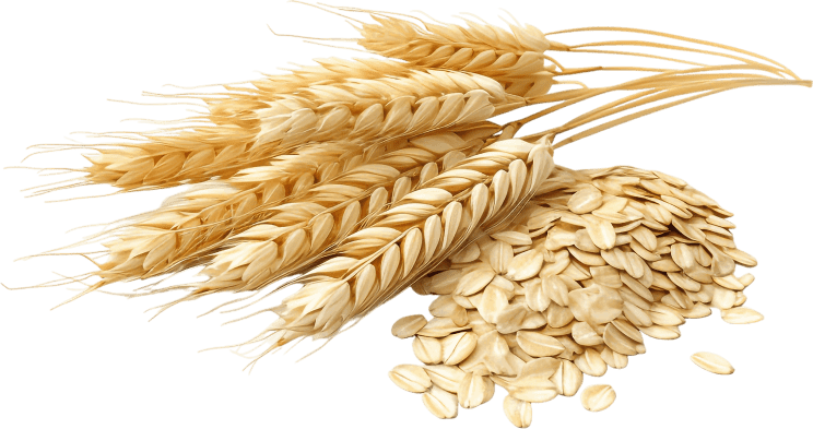 Synadentix ingrediant