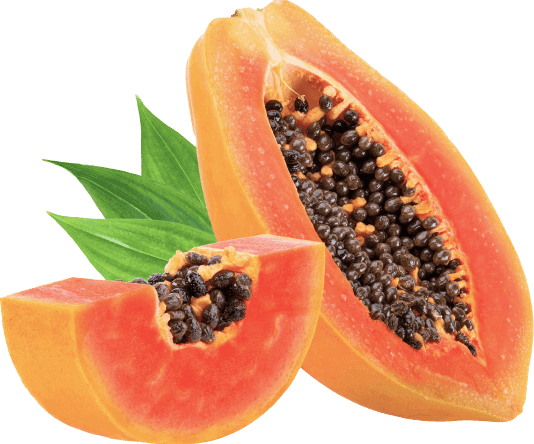 Synadentix ingrediant