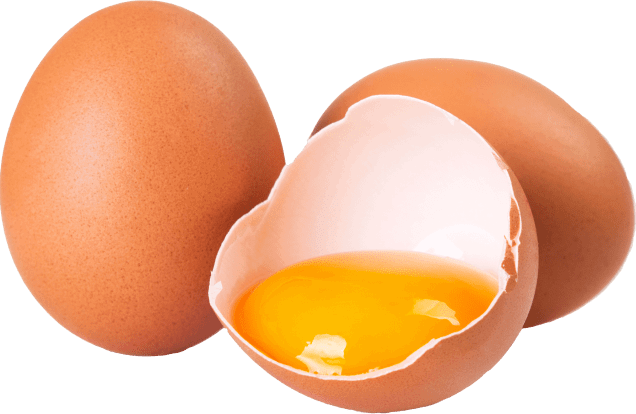 Synadentix ingrediant